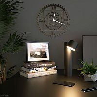 Светодиодная настольная лампа Eurosvet Premier 80425/1 черный