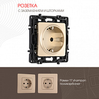 Розетка с заземлением и шторками, 16A 250V 217.40-1.shampan Arte Milano