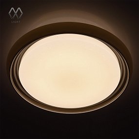 Потолочный светильник MW-Light Ривз 674011901