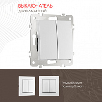 Выключатель двухклавишный, 10AX 250V 206.30-2.silver Arte Milano