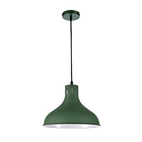 Подвес Arti Lampadari Martino E 1.3.P1 GR