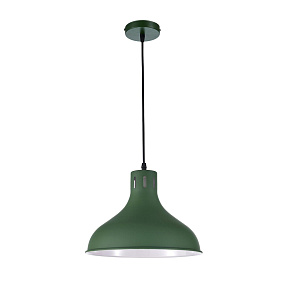 Подвес Arti Lampadari Martino E 1.3.P1 GR