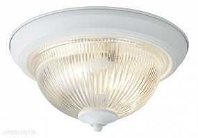 Потолочный светильник Arte Lamp Aqua A9370PL-2WH