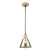 Подвесной светильник Arte Lamp LANCASTER A5891SP-1BK