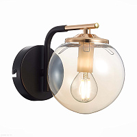 Бра EVOLUCE LITERNO SLE106901-01