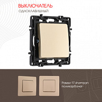 Выключатель одноклавишный, 10AX 250V 217.30-1.shampan Arte Milano
