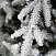 Ель CRYSTAL TREES Персея в снегу с вплетенной гирляндой 215 см KP11215SL
