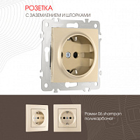 Розетка с заземлением и шторками, 16A 250V 206.40-1.shampan Arte Milano