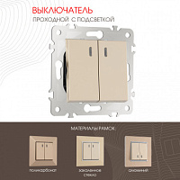 Выключатель двухклавишный проходной (на 2 направления) с подсветкой, 10AX 250V 203.33-2.shampan Arte Milano
