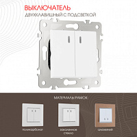 Выключатель двухклавишный с подсветкой, 10AX 250V 203.31-2.white Arte Milano